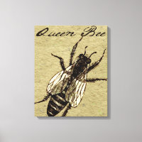 Queen Bee Wildlife Bug Insect