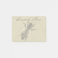 Queen Bee Wildlife Bug Insect