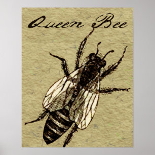 Queen Bee Wildlife Bug Insect Poster
