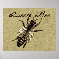 Queen Bee Wildlife Bug Insect