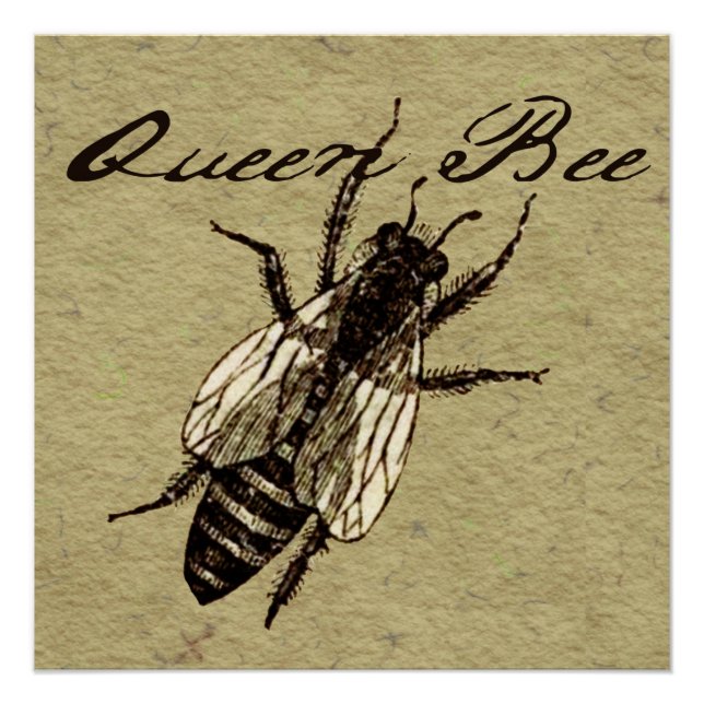 Queen Bee Wildlife Bug Insect Poster (Vorderseite)