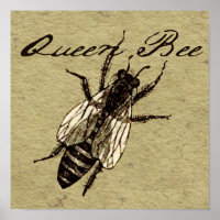 Queen Bee Wildlife Bug Insect