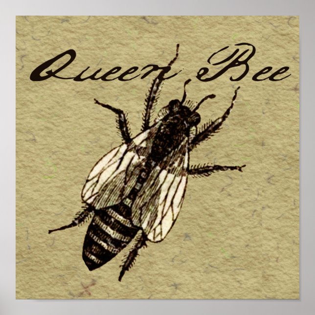 Queen Bee Wildlife Bug Insect Poster (Vorne)