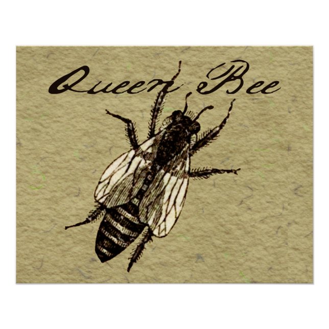 Queen Bee Wildlife Bug Insect Poster (Vorderseite)