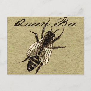 Queen Bee Wildlife Bug Insect Postkarte
