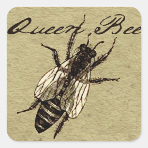 Queen Bee Wildlife Bug Insect Quadratischer Aufkleber