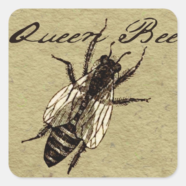 Queen Bee Wildlife Bug Insect Quadratischer Aufkleber (Vorderseite)