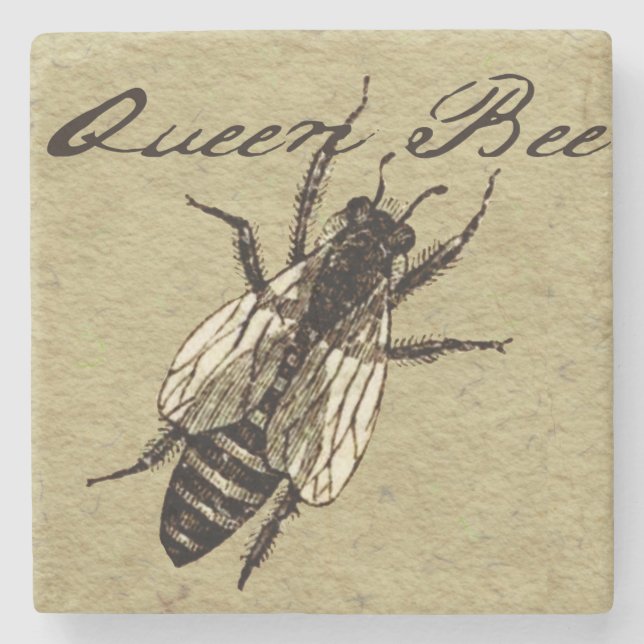 Queen Bee Wildlife Bug Insect Steinuntersetzer (Vorderseite)