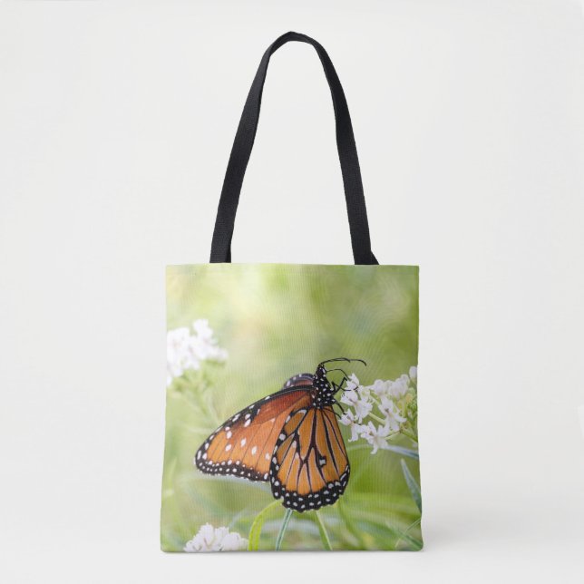 Queen Butterfly Sunning on Milkweed (Vorderseite)