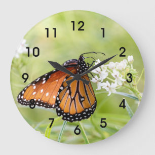 Queen Butterfly Sunning on Milkweed Große Wanduhr