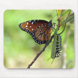 Queen Butterfly und Monarch Raupe Mouse Pad Mousepad