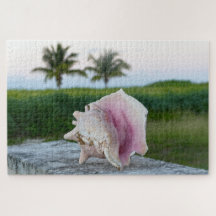 Queen Conch Muschel auf einer Mauer, das Bahamas P