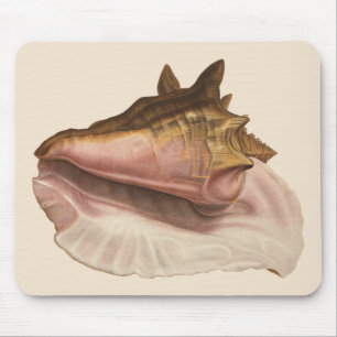 Queen Conch Muschel Seashell, Vintag maritimes Leb Mousepad