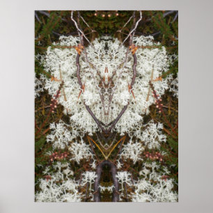 Queen Elizabeth 1. Lichen Poster