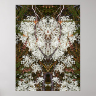 Queen Elizabeth 1. Lichen Poster