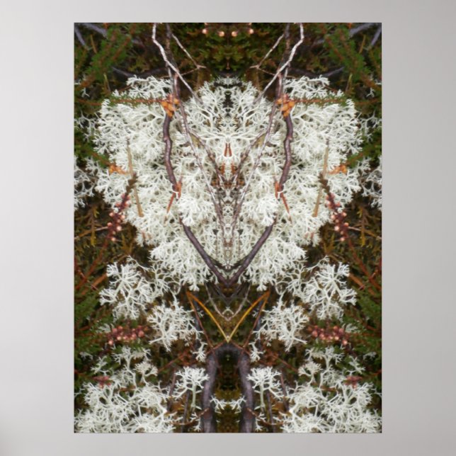 Queen Elizabeth 1. Lichen Poster (Vorne)