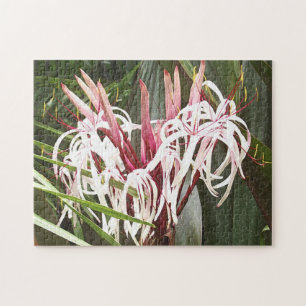 Queen Emma Crinum Lilies Puzzle