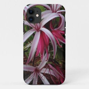 Queen Emmas Purpur Crinum-Lilie Case-Mate iPhone Hülle