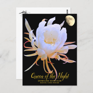 Queen of the Night Postkarte
