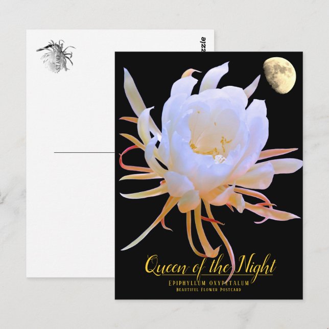 Queen of the Night Postkarte (Vorne/Hinten)