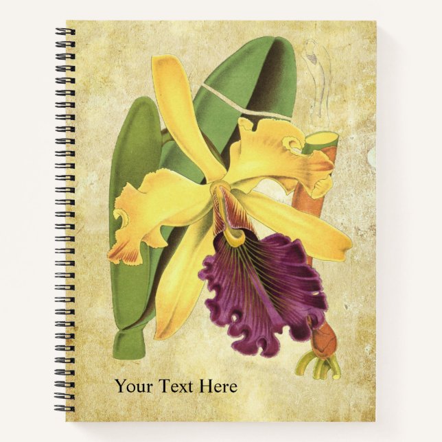 Queen Orchid-Notebook Notizbuch (Vorderseite)