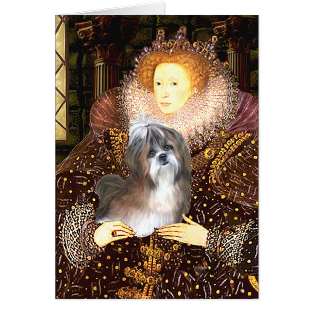 Queen - Shih Tzu 8 (braun-weiß) (Vorne)