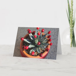 Queen Victoria Agave mit Cranberries von DLBaldwin Karte