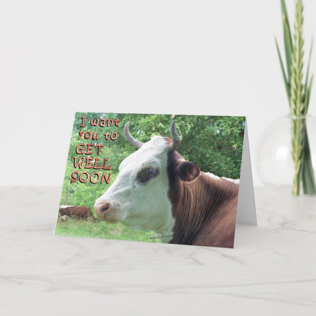 Queenie sagt: "Komm bald gut!" Karte (Vorderseite)