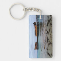 Queenscliff Dream Key Ring