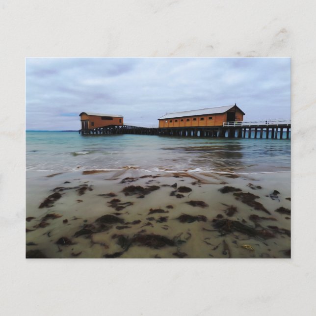 Queenscliff Dream Postcard Postkarte (Vorderseite)