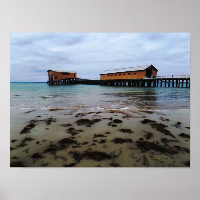 Queenscliff Dream Poster (Vorne)