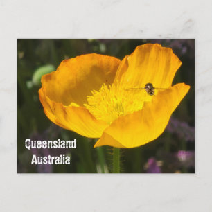 Queensland Australien - Blumen & Biene Postkarte