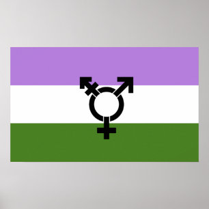 Queer - Geschlecht Queer Pride Poster