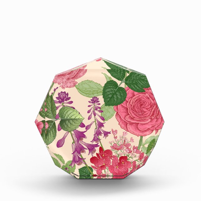 Quelle Fotoblock (Vorderseite)