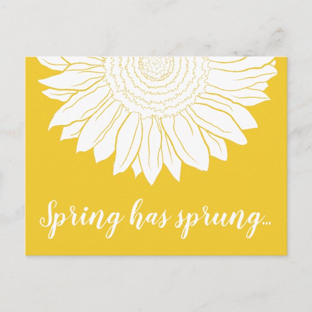 Quelle ist gefedert Sonnenblume Postkarte (Vorderseite)