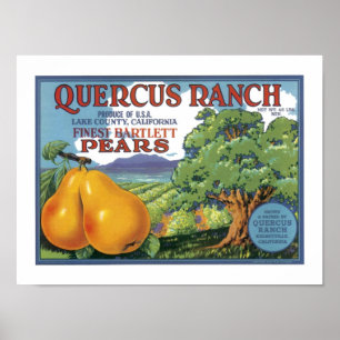 Quercus Ranch Bartlett Birars Poster