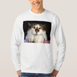 Quere mit Augen Katze und Marienkäfer T-Shirt