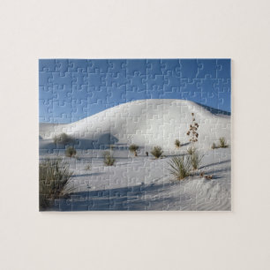 Querliegende Dünen und Seifenbaum-Yucca Puzzle