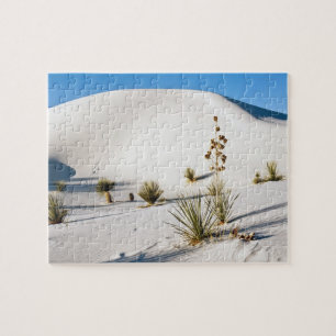 Querliegende Dünen und Soaptree Yucca Puzzle