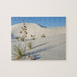 Querliegende Dünen, Yucca, Schatten Puzzle