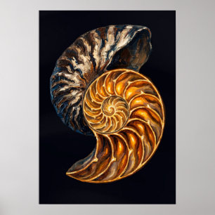 Querschnitt durch ein Nautilusgehäuse — Goldene Sp Poster