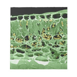 Querschnittsteil von Leaf Notizblock