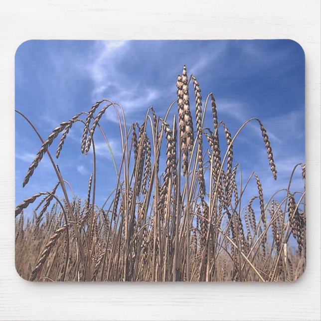 Querstation Mousepad (Vorne)