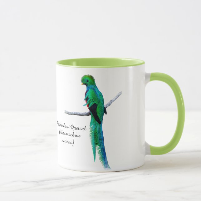 Quetzal zeichnend Vogelillustrierung Wasserfarbe Tasse (Rechts)