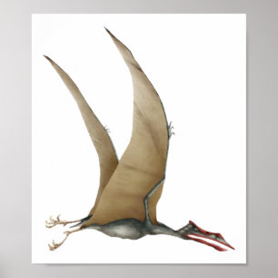 Quetzalcoatlus Poster
