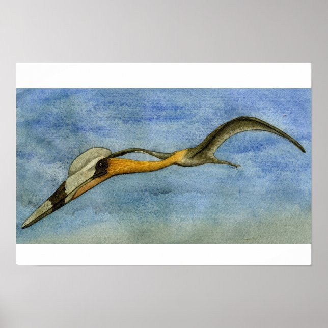Quetzalcoatlus Print Poster (Vorne)