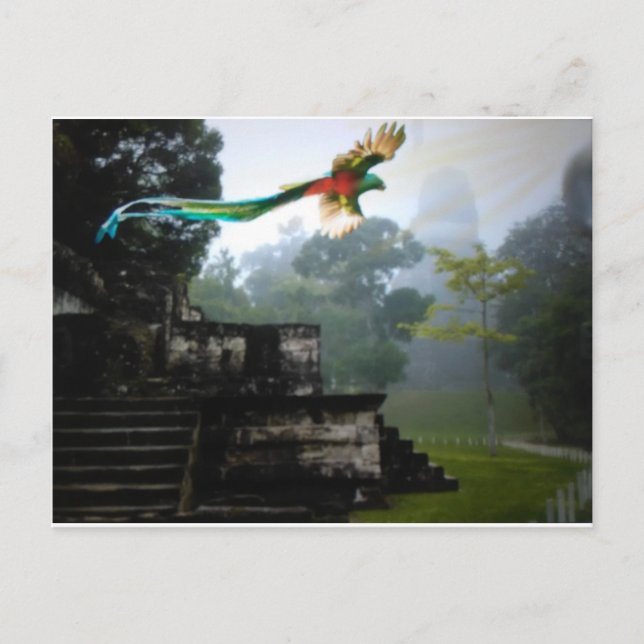 Quetzel in Tikal Postkarte (Vorderseite)