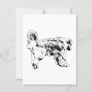 Quick Hello, Golden Retriever Postkarte