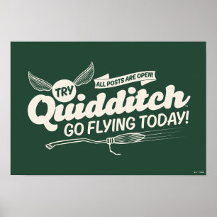 QUIDDITCH™ Rekrutierungspaket Poster