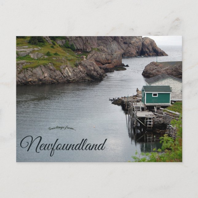 Quidi Vidi Newfoundland Canada Postkarte (Vorderseite)
